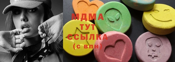 индика Горно-Алтайск