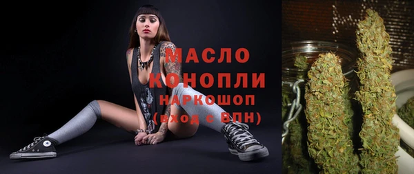 индика Горно-Алтайск