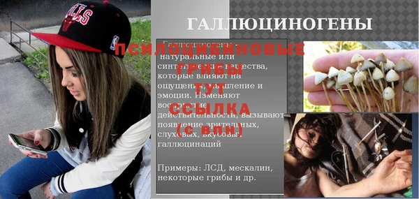 индика Горно-Алтайск