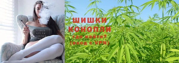 индика Горно-Алтайск