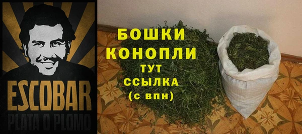 индика Горно-Алтайск