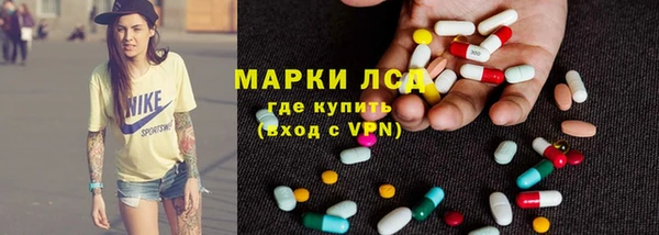 индика Горно-Алтайск