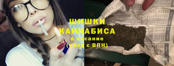 шишки Вязьма