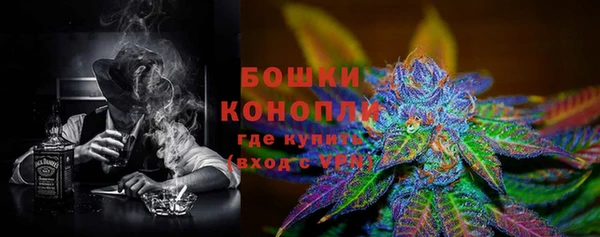 индика Горно-Алтайск