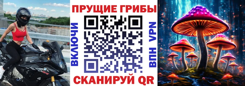 Псилоцибиновые грибы ЛСД  Нефтекамск 